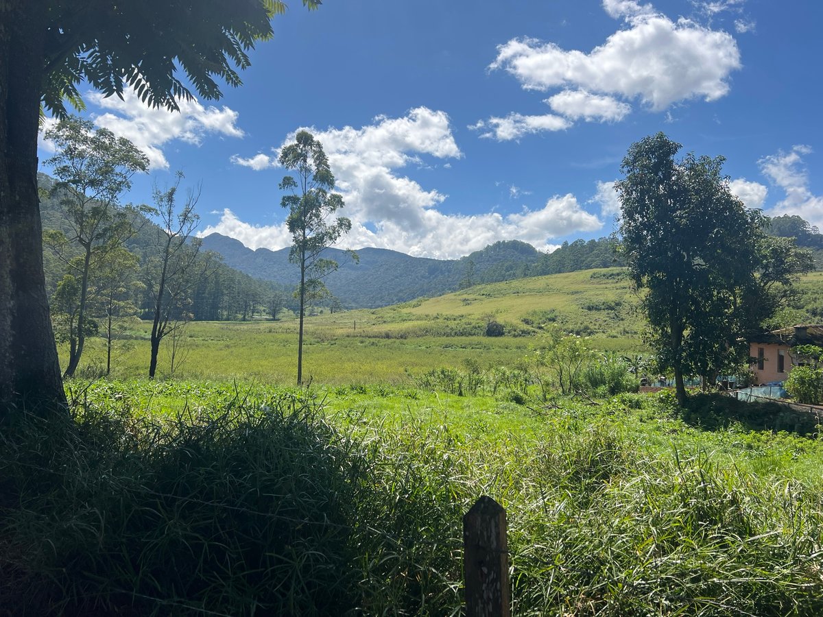 30 Dec 2025 - 11:18, Sri Lanka