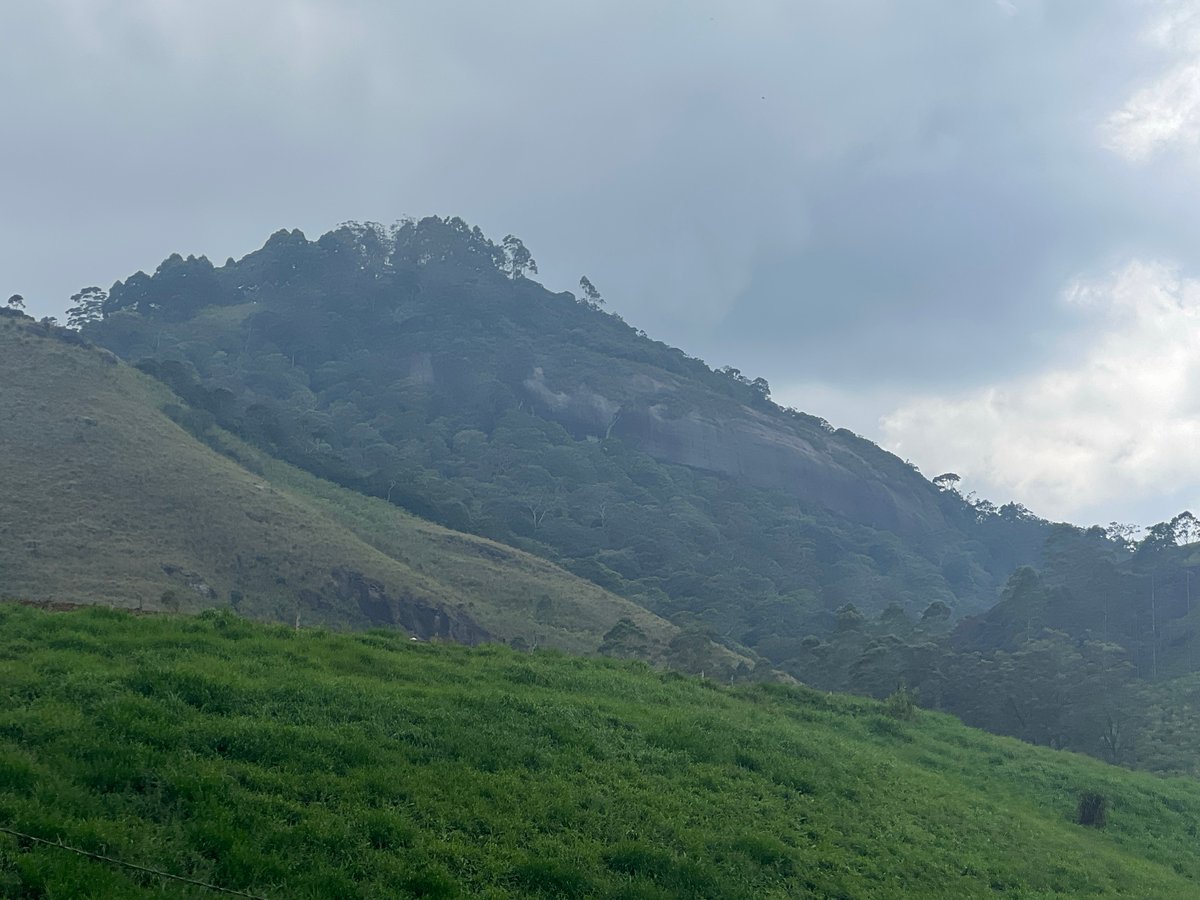 30 Dec 2025 - 13:43, Sri Lanka