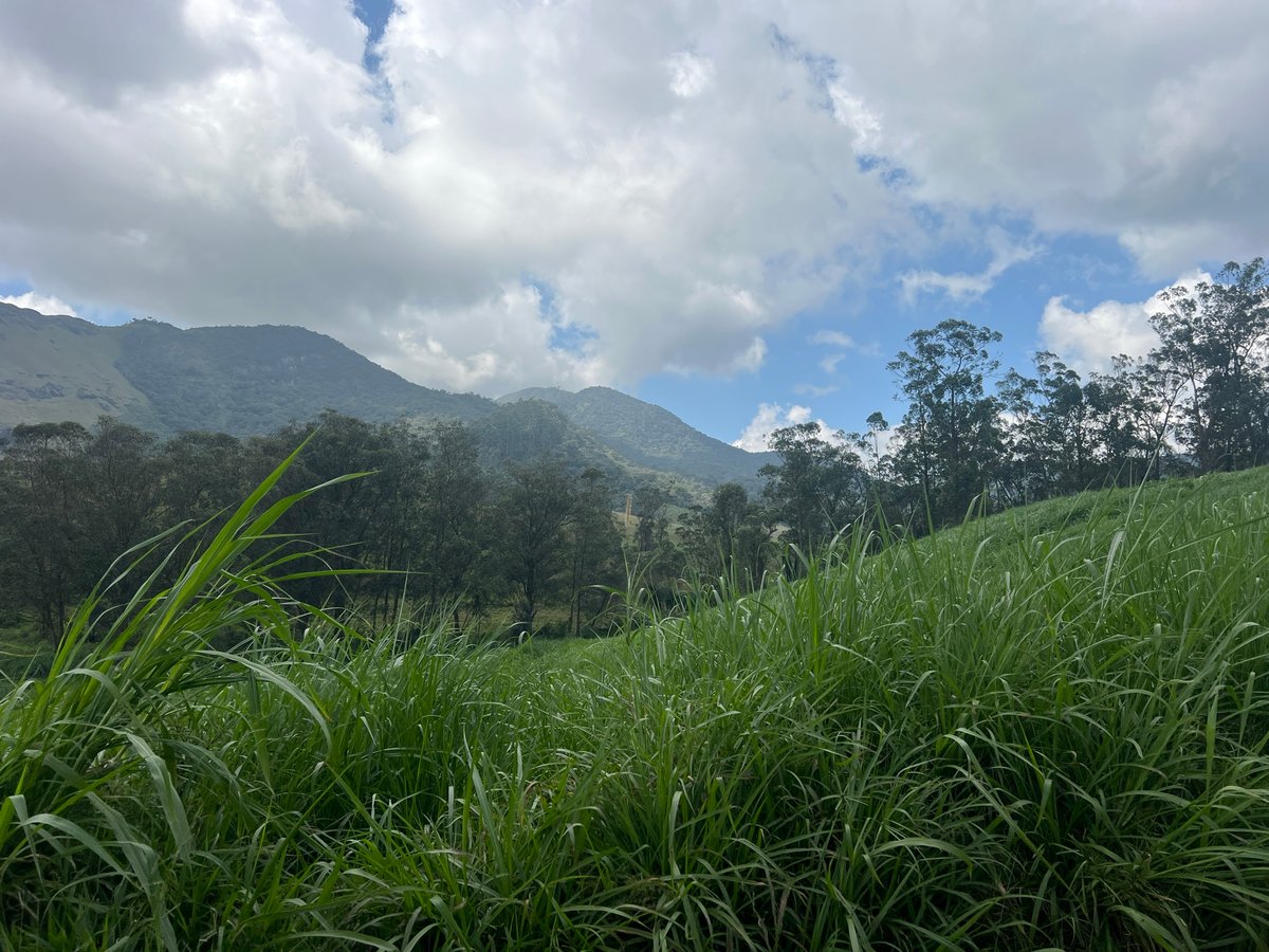 30 décembre 2025 - 13h43, Sri Lanka