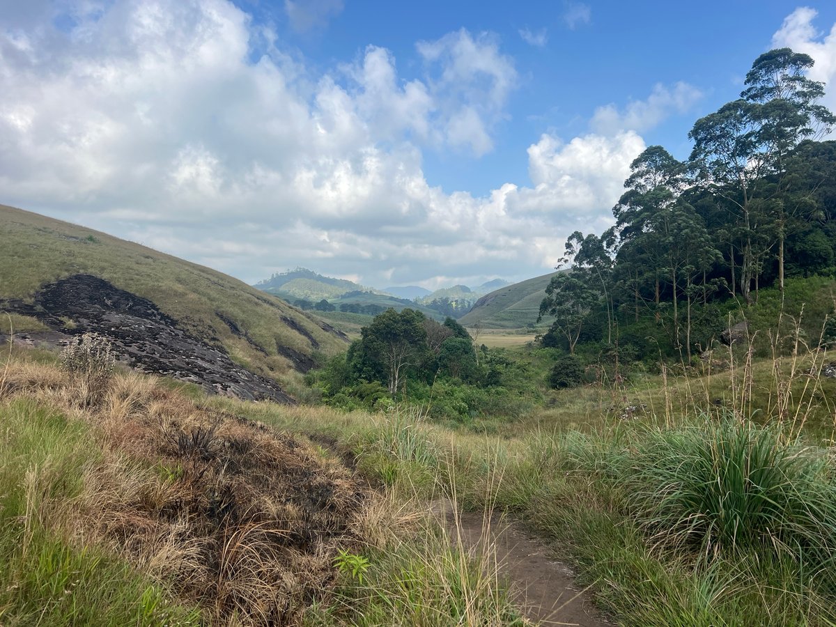 30 Dec 2025 - 15:03, Sri Lanka