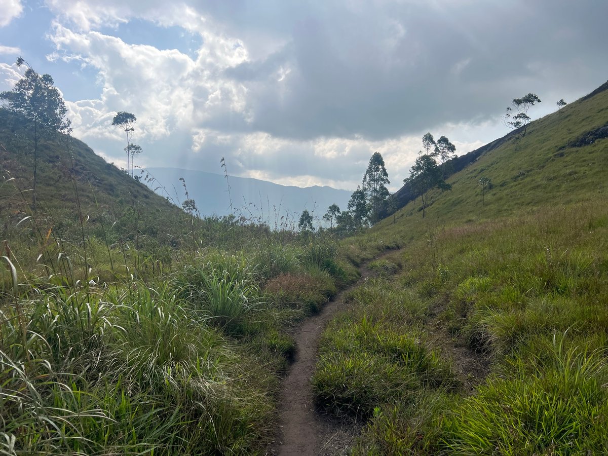 30 Dec 2025 - 15:03, Sri Lanka