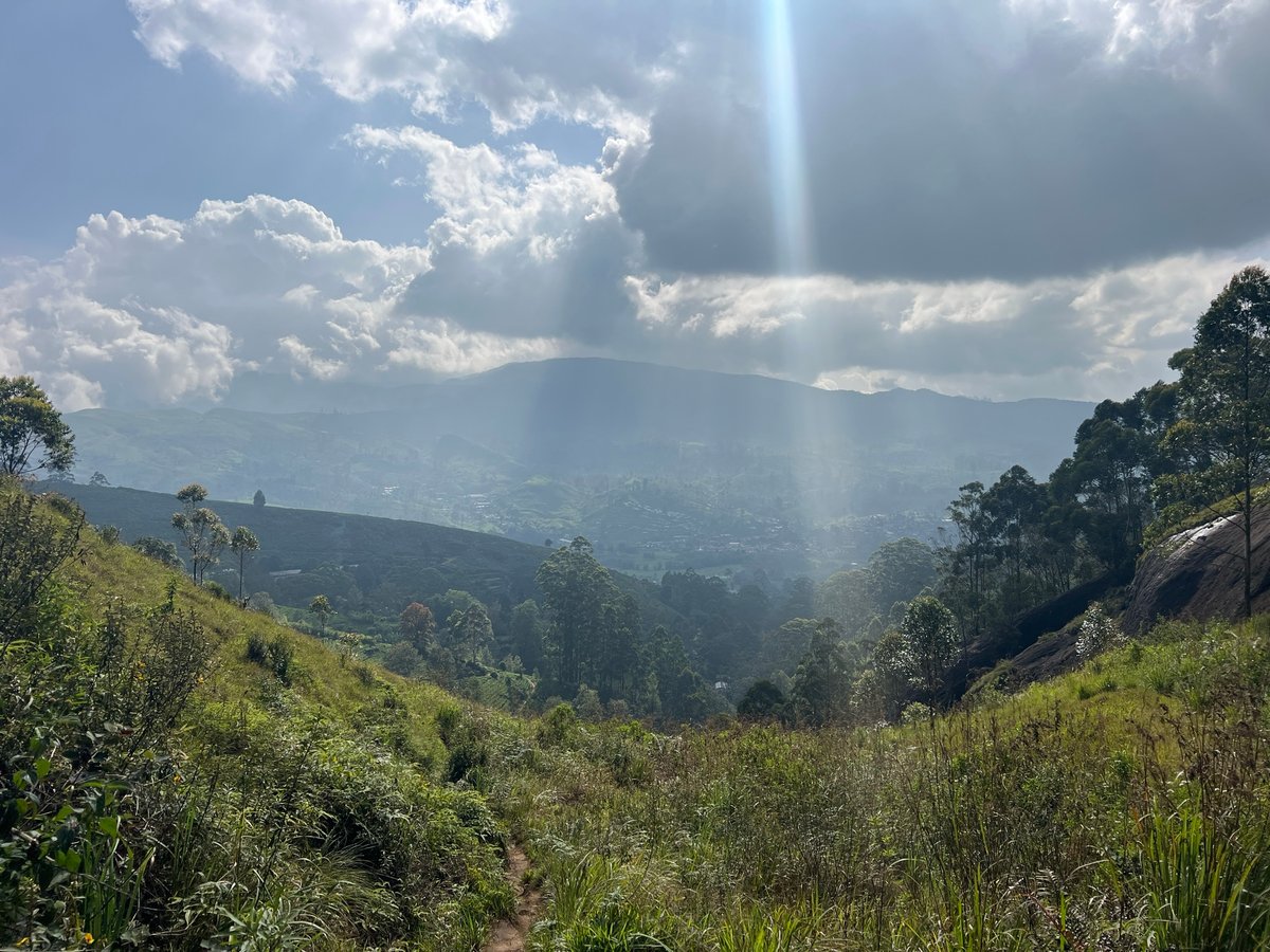 30 décembre 2025 - 15h07, Sri Lanka