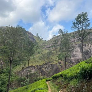 30 Dec 2025 - 15:30 by Phil