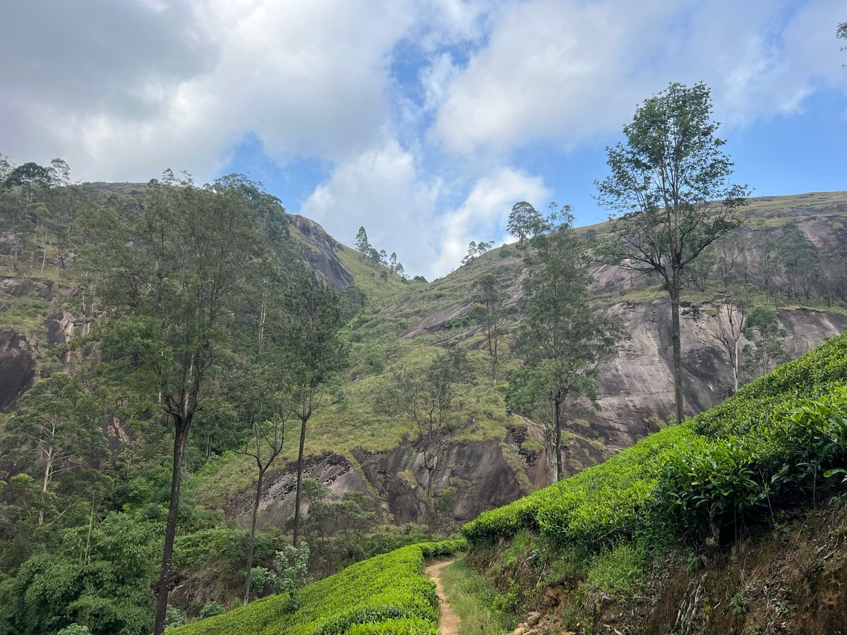 30 décembre 2025 - 15h30, Sri Lanka