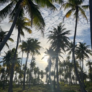 Sailing Taou | Our New Years Break by Adam