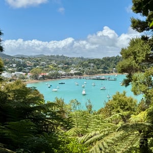 Views, Views, Views by Nick