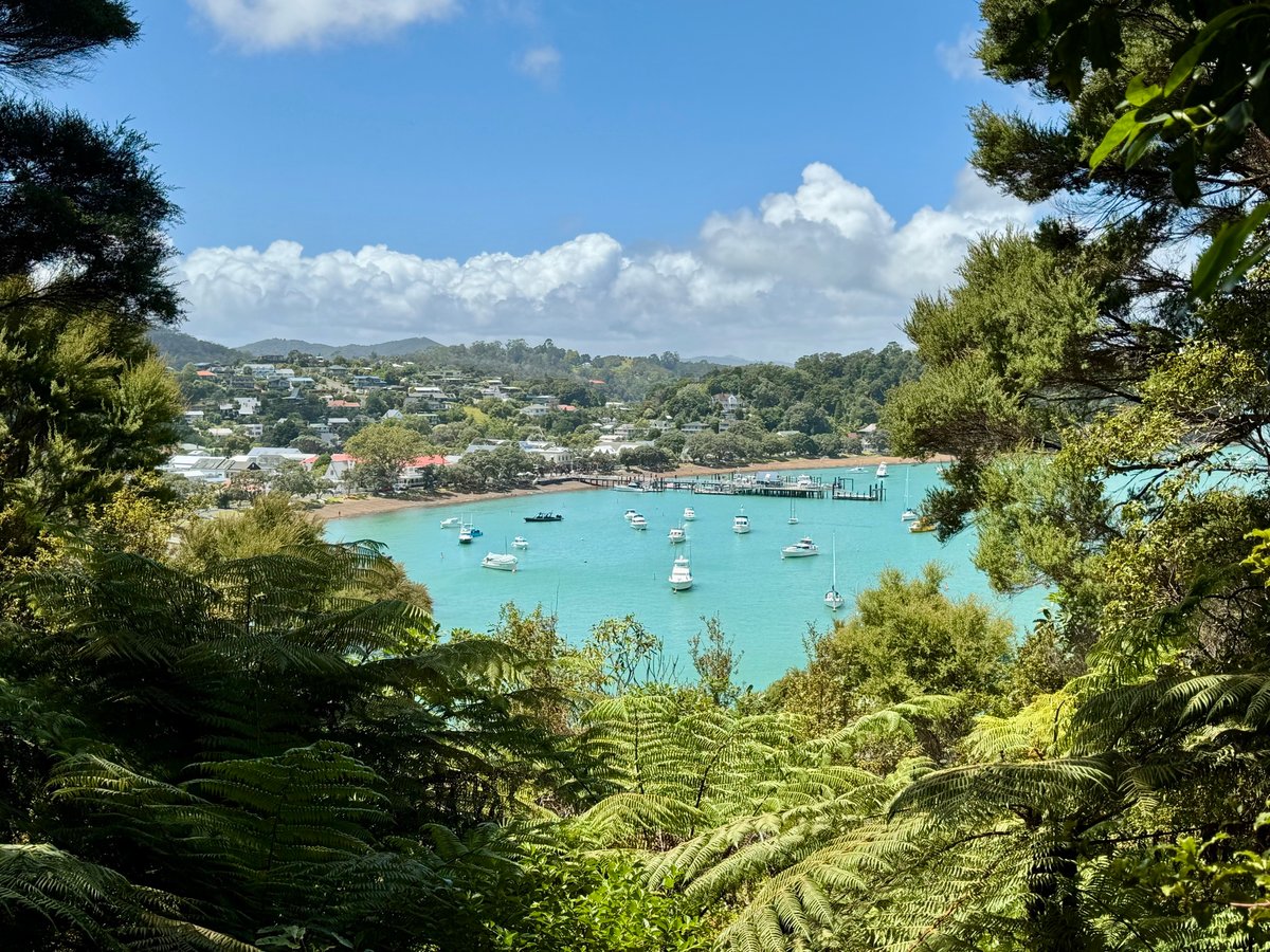 Views, Views, Views, New Zealand