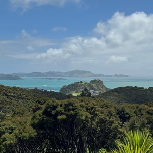 Views, Views, Views by Nick