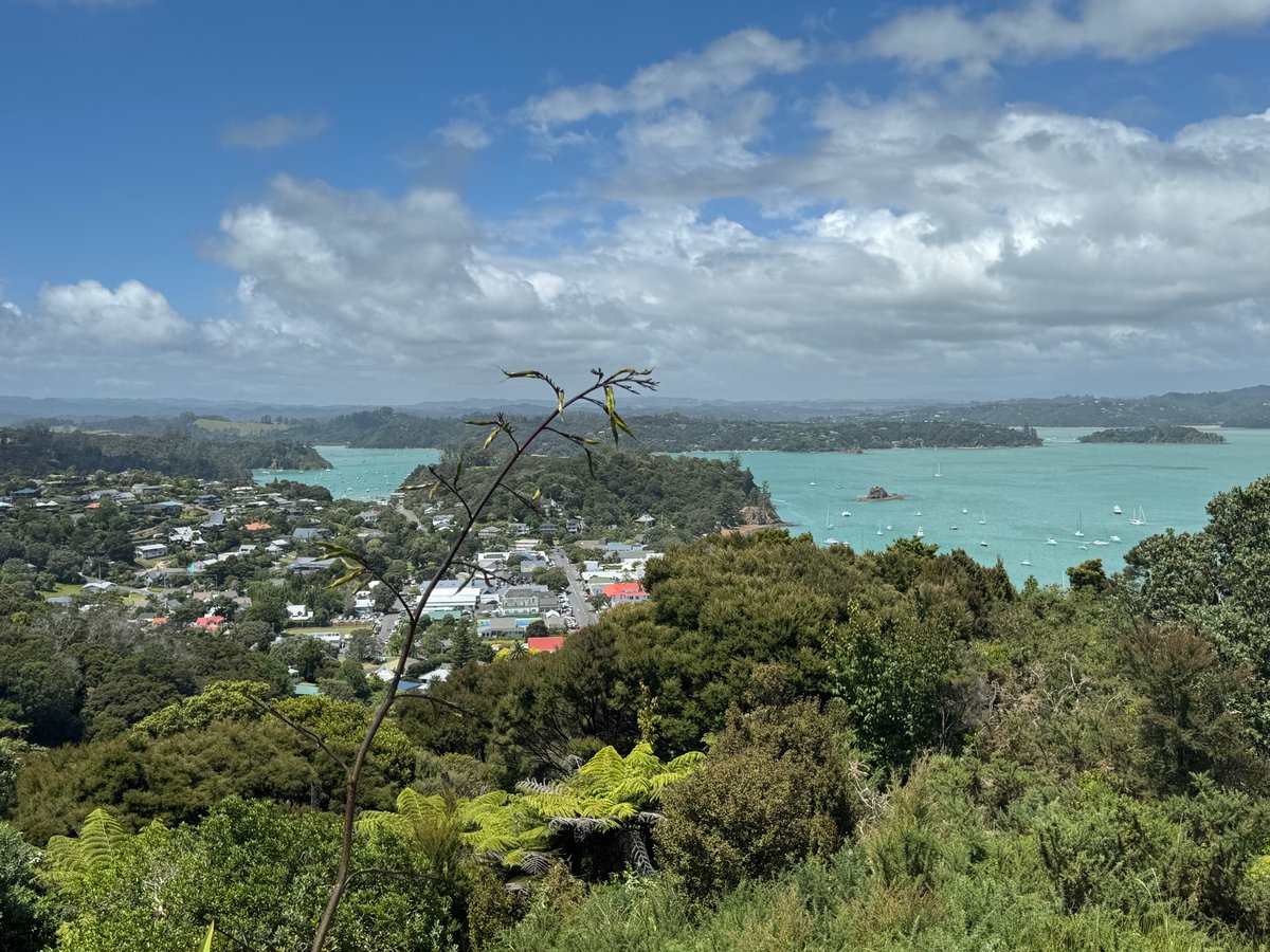 Views, Views, Views, New Zealand