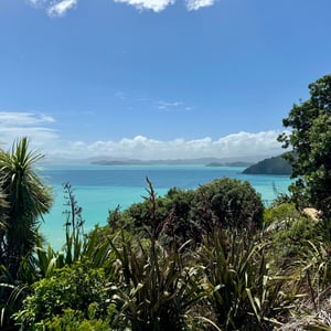 Views, Views, Views by Nick