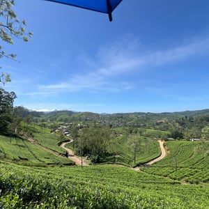 3 Jan 2026 - 11:50 by Phil