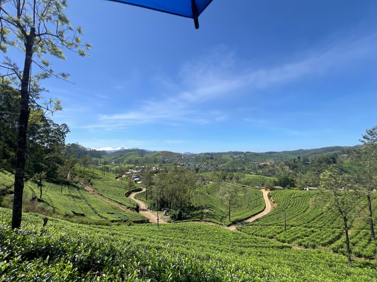 3 Jan 2026 - 11:50, Sri Lanka