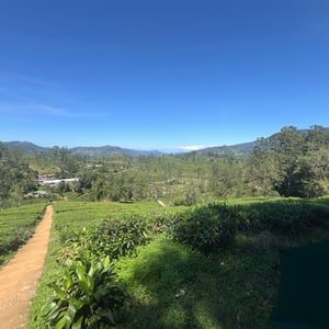 3 Jan 2026 - 12:37 by Phil