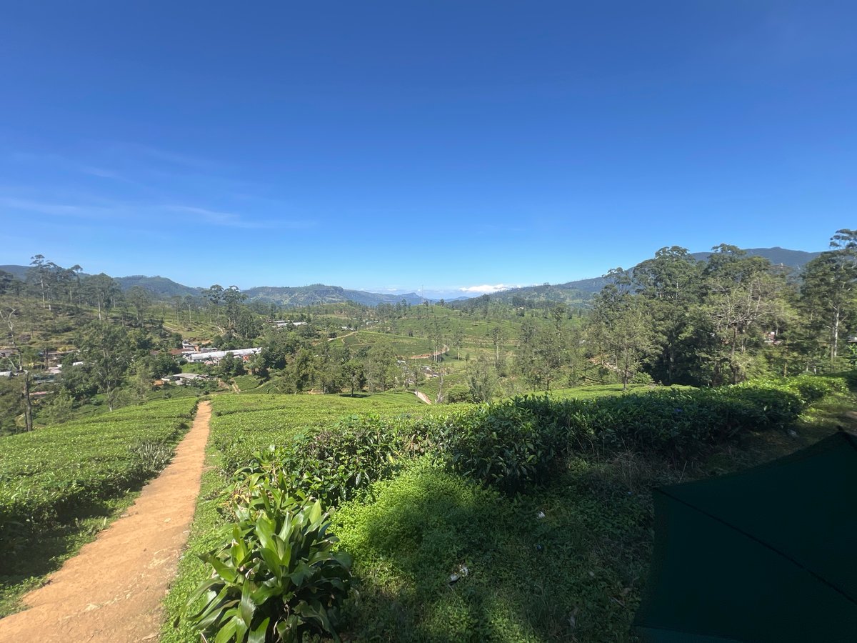 3 Jan 2026 - 12:37, Sri Lanka