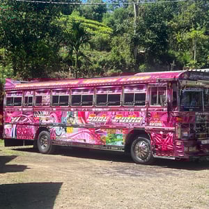 3 Jan 2026 - 12:50 by Phil