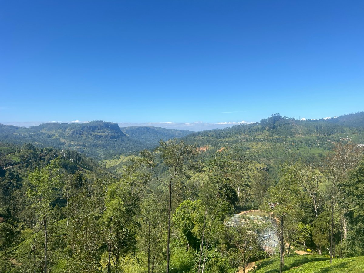 3 Jan 2026 - 14:15, Sri Lanka