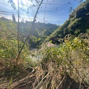 3 Jan 2026 - 15:37 by Phil