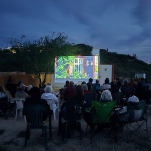 East Cape Critters - Animal Rescue by David