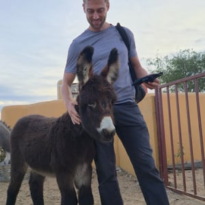 East Cape Critters - Animal Rescue by David