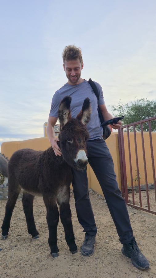 East Cape Critters - Rescate de animales, México