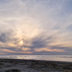 20 Jan 2026 - 17:52 by Alkan