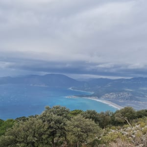 22 Jan 2026 - 11:19 by Alkan