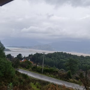 22 Jan 2026 - 13:28 by Alkan