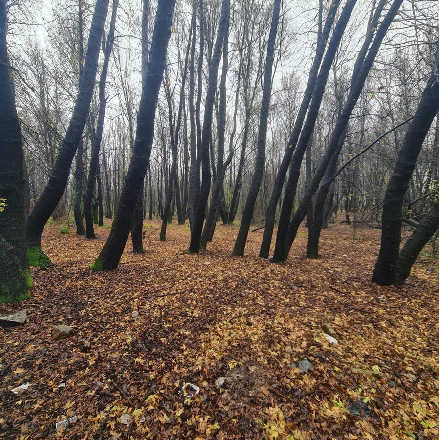 23 Jan 2026 - 11:35, Türkiye