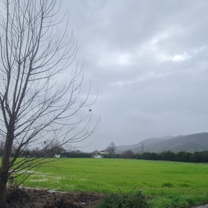 23 Jan 2026 - 11:49 by Alkan