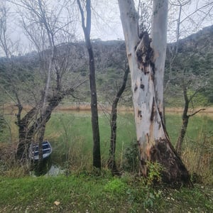 24 Jan 2026 - 13:09 by Alkan