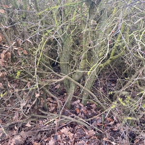 24 Jan 2026 - 14:34 by Pierre