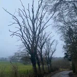 24 Jan 2026 - 14:34 by Pierre