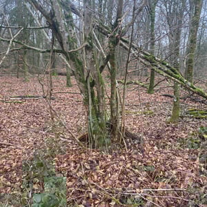 24 Jan 2026 - 14:41 by Pierre