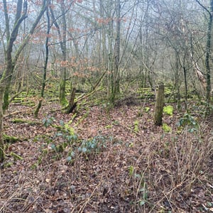 24 Jan 2026 - 14:41 by Pierre