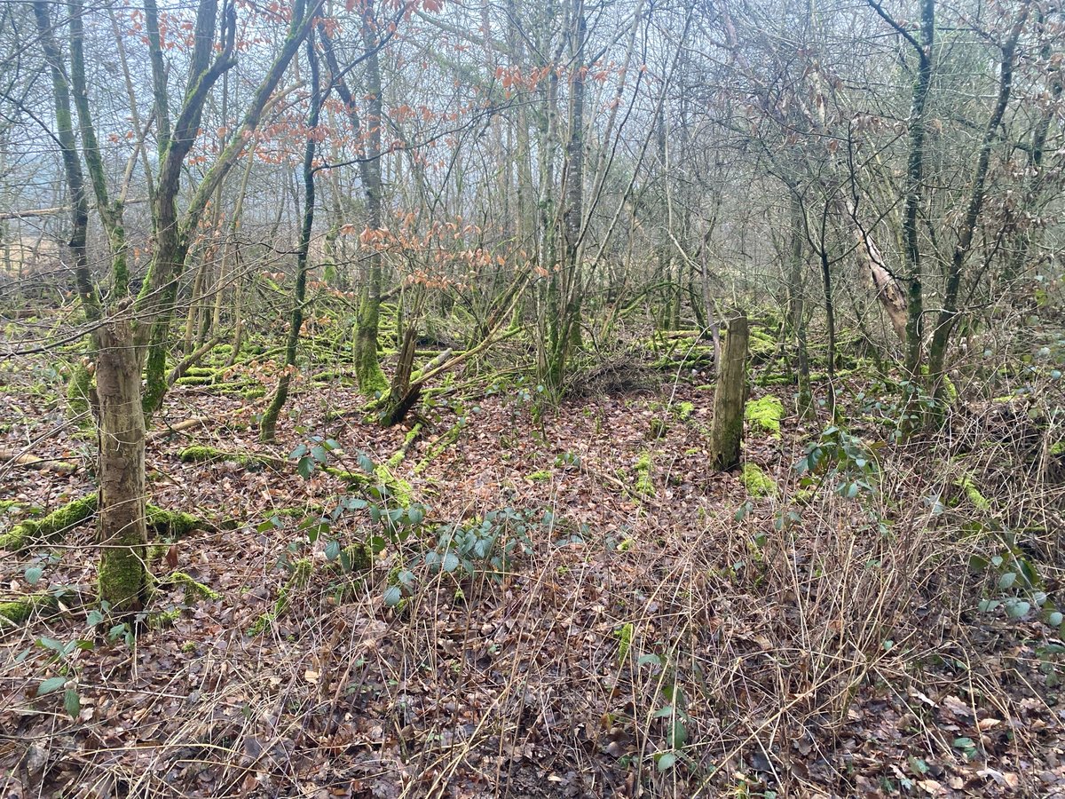 24 Jan 2026 - 14:41, Luxemburg