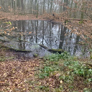 24 Jan 2026 - 14:41 by Pierre