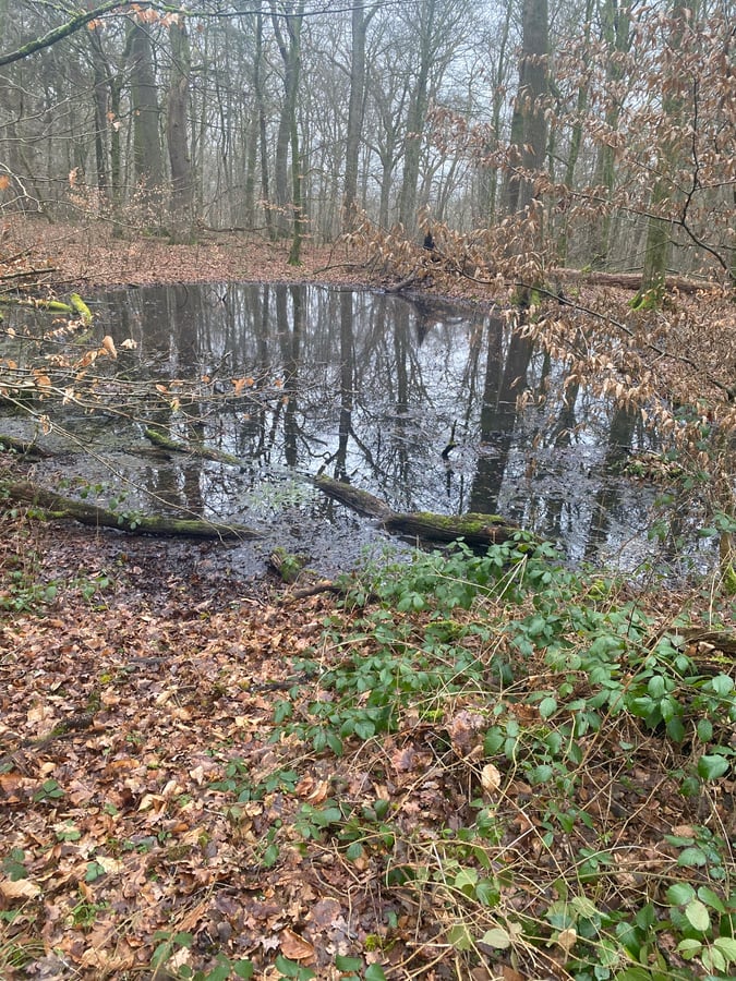 24. Januar 2026 - 14:41 Uhr, Luxemburg