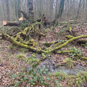 24 Jan 2026 - 14:41 by Pierre