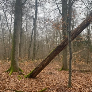 24 Jan 2026 - 15:05 by Pierre