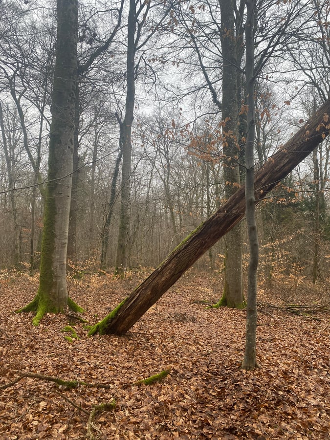 24 Jan 2026 - 15:05, Luxembourg