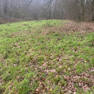 24 Jan 2026 - 15:07 by Pierre