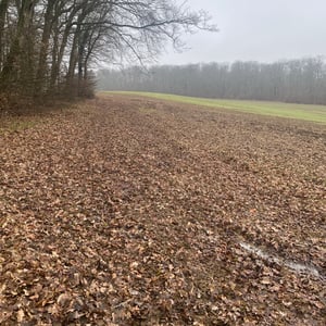 24 Jan 2026 - 15:07 by Pierre