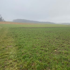 24 Jan 2026 - 15:07 by Pierre