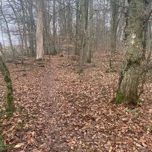 24 Jan 2026 - 15:07 by Pierre