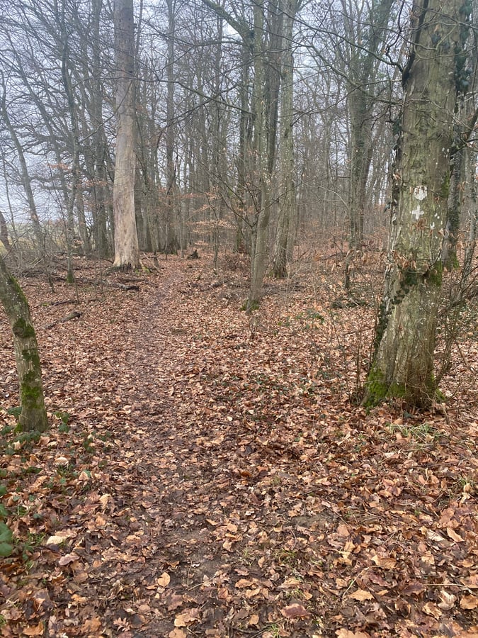 24. Januar 2026 - 15:07 Uhr, Luxemburg