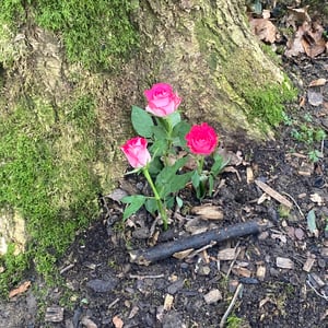 24 Jan 2026 - 15:07 by Pierre