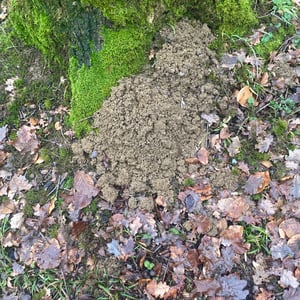 24 Jan 2026 - 15:24 by Pierre