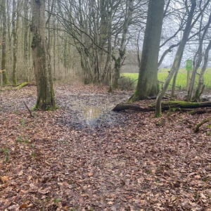 24 Jan 2026 - 15:31 by Pierre