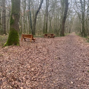 24 Jan 2026 - 15:31 by Pierre