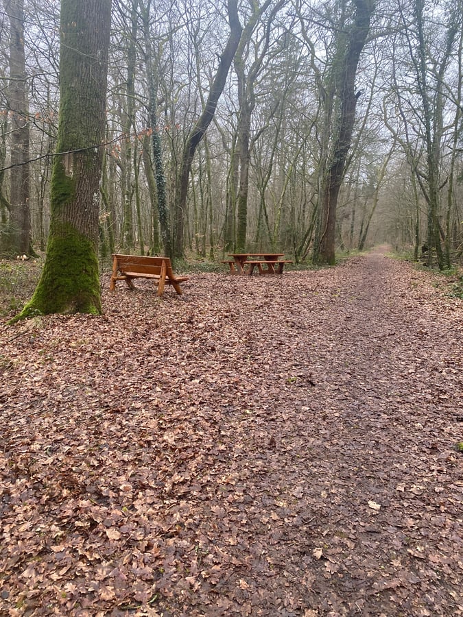 24 Jan 2026 - 15:31, Luxembourg